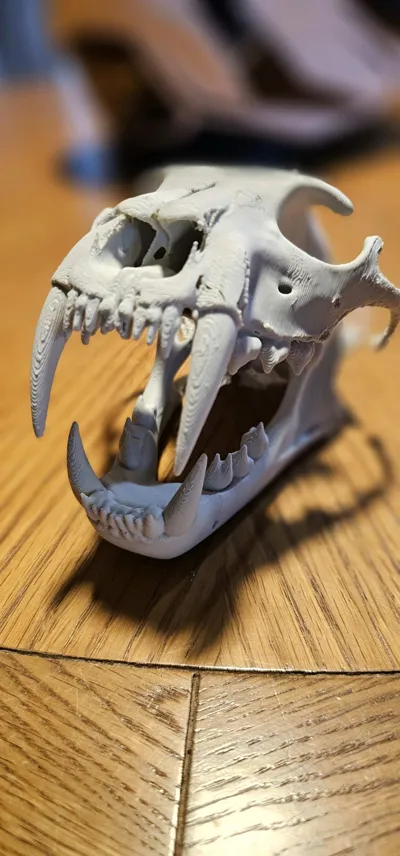 https://makerworld.bblmw.com/makerworld/comment/20260207/2650995503/be6458e8e31fd402.jpg