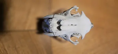 https://makerworld.bblmw.com/makerworld/comment/20260207/2650995503/d2f81752697f0fc9.jpg