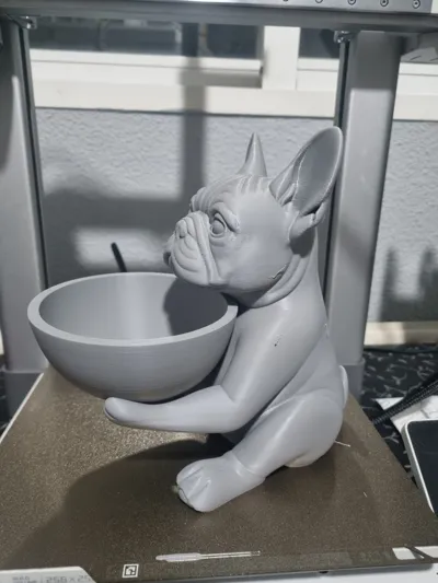 https://makerworld.bblmw.com/makerworld/comment/20260207/2741901949/65a523a58dfe71ea.jpeg