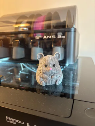 https://makerworld.bblmw.com/makerworld/comment/20260207/2822135160/001f663ad24b571c.jpg