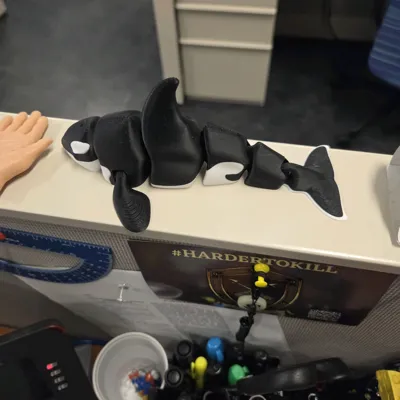 https://makerworld.bblmw.com/makerworld/comment/20260207/2918967313/5560122d051c38b9.jpg