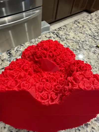 https://makerworld.bblmw.com/makerworld/comment/20260207/300742715/e4c306159973b7bf.jpg