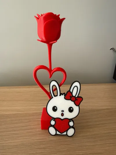 https://makerworld.bblmw.com/makerworld/comment/20260207/3183484580/ca892b5e11743e68.jpg