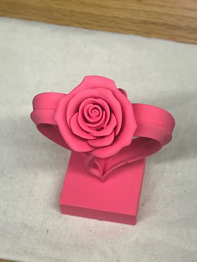 https://makerworld.bblmw.com/makerworld/comment/20260207/3331655328/707f051205ebe53b.jpg