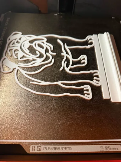 https://makerworld.bblmw.com/makerworld/comment/20260207/3726753745/53b407f8117b990e.jpg