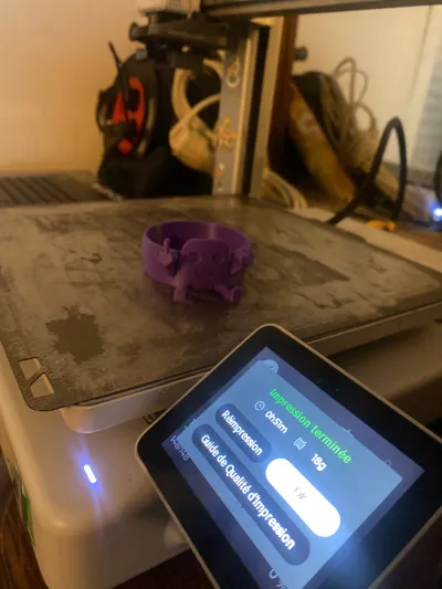 https://makerworld.bblmw.com/makerworld/comment/20260207/3834797022/a6326ed484cc0d61.jpg
