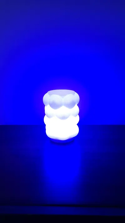 https://makerworld.bblmw.com/makerworld/comment/20260207/574619629/8ea9d7c2500fd7d9.jpg