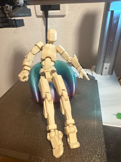 https://makerworld.bblmw.com/makerworld/comment/20260207/831625872/5155f6bb2cad678e.jpg