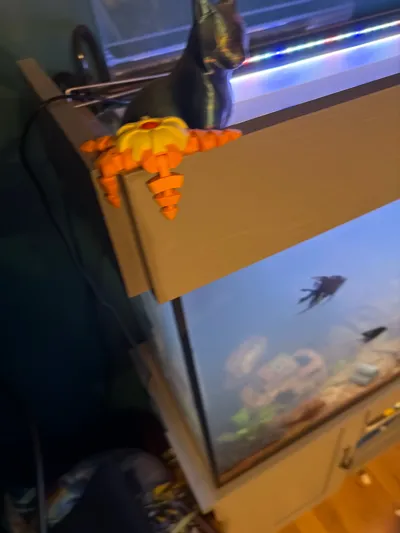 https://makerworld.bblmw.com/makerworld/comment/20260207/875972297/55321dfc798d342c.jpg