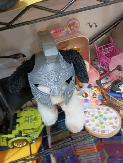https://makerworld.bblmw.com/makerworld/comment/20260207/911595467/a4bb51f0ba3d39a9.jpg
