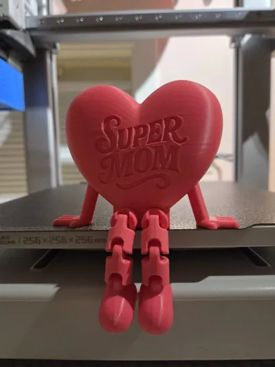 https://makerworld.bblmw.com/makerworld/comment/20260208/1085059017/e6de6d9004c9cf05.jpg