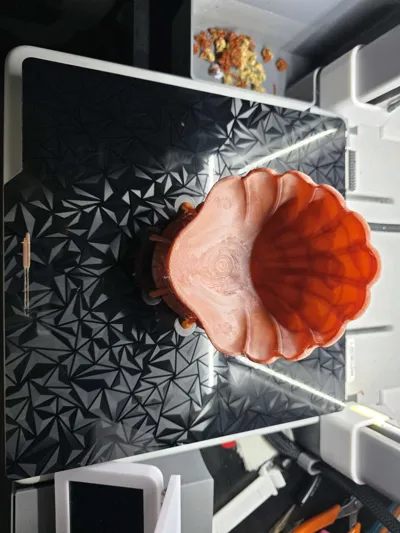 https://makerworld.bblmw.com/makerworld/comment/20260208/1250071100/55103967202bb914.jpg
