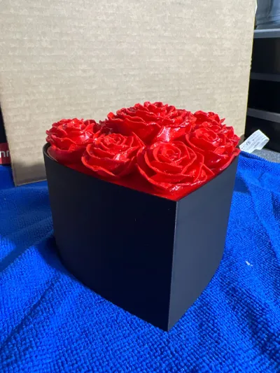 https://makerworld.bblmw.com/makerworld/comment/20260208/1343944740/238e8715435ee277.jpg