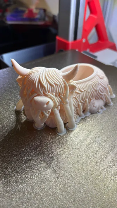 https://makerworld.bblmw.com/makerworld/comment/20260208/1363406727/586f36fdaee41aed.jpg