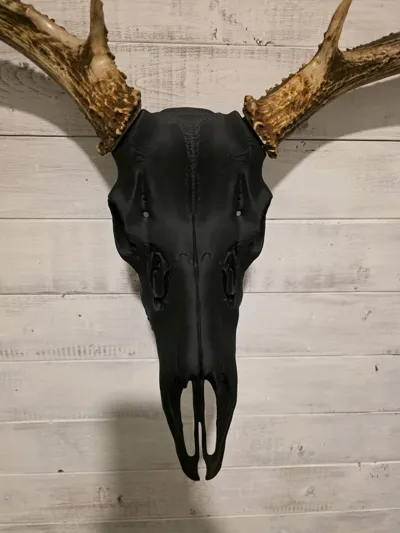 https://makerworld.bblmw.com/makerworld/comment/20260208/1413724937/5c4064dc4b6cf4d2.jpg