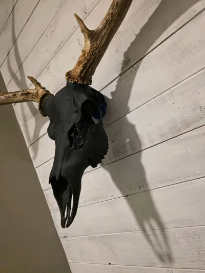 https://makerworld.bblmw.com/makerworld/comment/20260208/1413724937/6604d0f9555c66e5.jpg