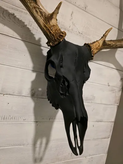 https://makerworld.bblmw.com/makerworld/comment/20260208/1413724937/81cd83eb30bf388b.jpg