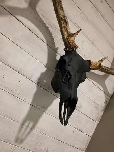 https://makerworld.bblmw.com/makerworld/comment/20260208/1413724937/a22007db54d618dd.jpg