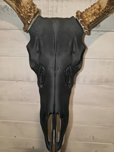 https://makerworld.bblmw.com/makerworld/comment/20260208/1413724937/ccd5f2fb85a96b40.jpg
