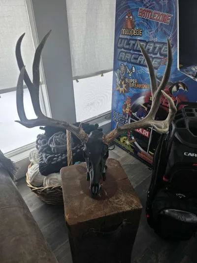 https://makerworld.bblmw.com/makerworld/comment/20260208/1413724937/faad3d2ad69488f6.jpg