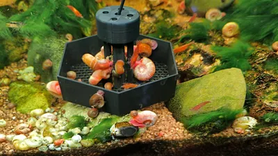 https://makerworld.bblmw.com/makerworld/comment/20260208/1673791223/182866ac518b2d84.jpg