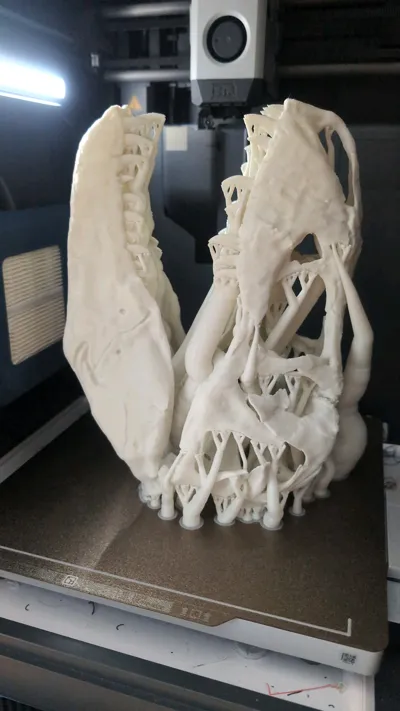 https://makerworld.bblmw.com/makerworld/comment/20260208/1703653274/68e26412c760d7ca.jpg