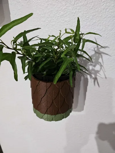 https://makerworld.bblmw.com/makerworld/comment/20260208/1989544256/dd146397ff842782.jpg