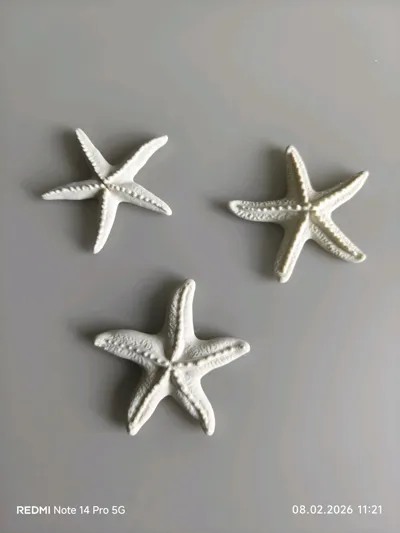 https://makerworld.bblmw.com/makerworld/comment/20260208/2069434675/347b0e304ea87532.jpg