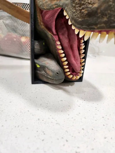 https://makerworld.bblmw.com/makerworld/comment/20260208/2081411928/4f7a5da7ae8faddc.jpg