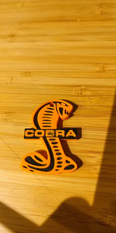 https://makerworld.bblmw.com/makerworld/comment/20260208/2526617464/2817b399c6eef6ad.jpg