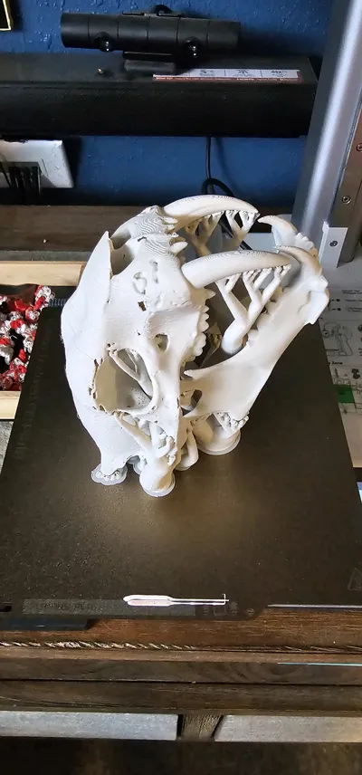 https://makerworld.bblmw.com/makerworld/comment/20260208/2650995503/750a0886ee8083c0.jpg