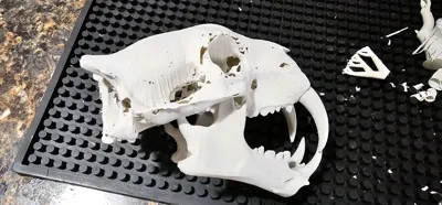 https://makerworld.bblmw.com/makerworld/comment/20260208/2650995503/d5b0f62f0c85a0be.jpg
