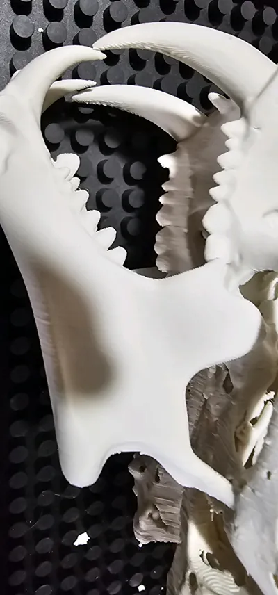 https://makerworld.bblmw.com/makerworld/comment/20260208/2650995503/f60c0cc6b18820a1.jpg