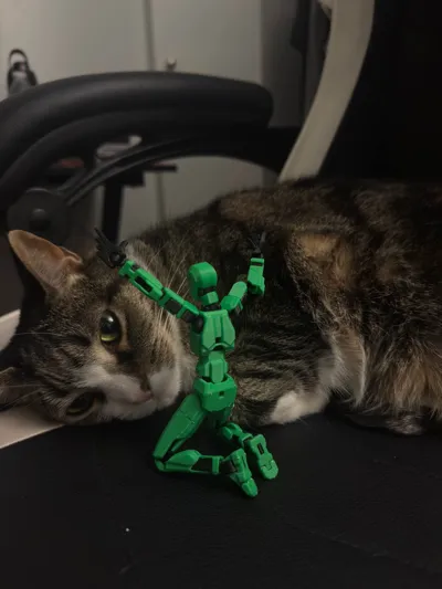 https://makerworld.bblmw.com/makerworld/comment/20260208/2942553604/fb73afc55b4ac934.jpg