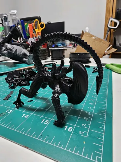 https://makerworld.bblmw.com/makerworld/comment/20260208/3041273191/b0b4a51a3f9dd67f.jpg