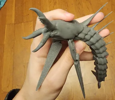 https://makerworld.bblmw.com/makerworld/comment/20260208/3239305705/1aa17b2565fcf246.jpg