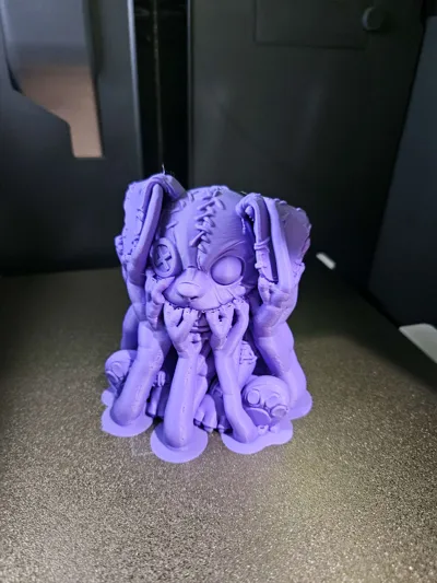 https://makerworld.bblmw.com/makerworld/comment/20260208/3259873590/fde81f81caa2597a.jpg