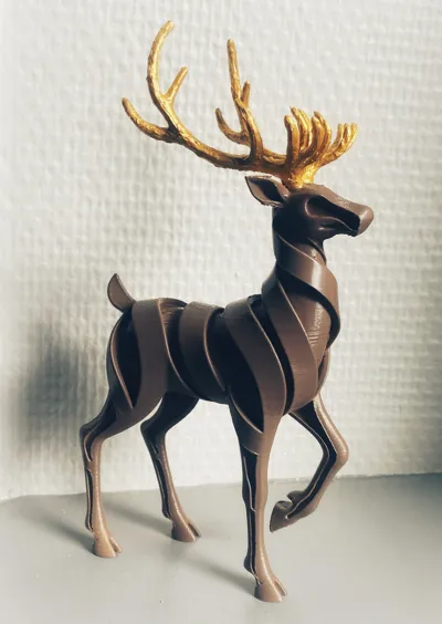 https://makerworld.bblmw.com/makerworld/comment/20260208/3325434580/2040c438eceb2791.jpg