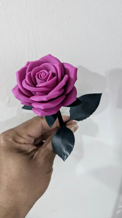 https://makerworld.bblmw.com/makerworld/comment/20260208/3329946035/9c9fd25dd850018e.jpg