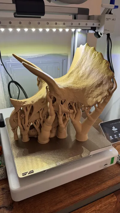 https://makerworld.bblmw.com/makerworld/comment/20260208/3513732273/8658bac22f73c715.jpg