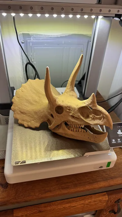 https://makerworld.bblmw.com/makerworld/comment/20260208/3513732273/b5ad03269cfaeef7.jpg