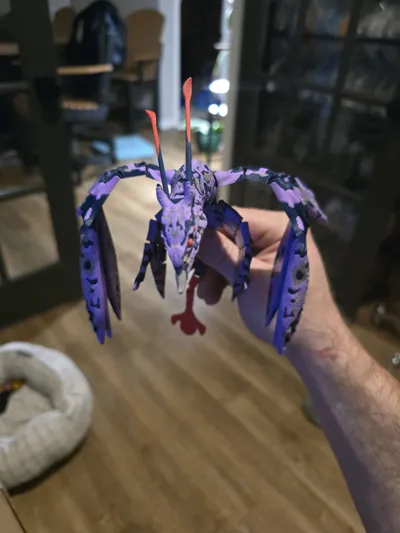 https://makerworld.bblmw.com/makerworld/comment/20260208/3672156558/2dc9687039cc4d63.jpg