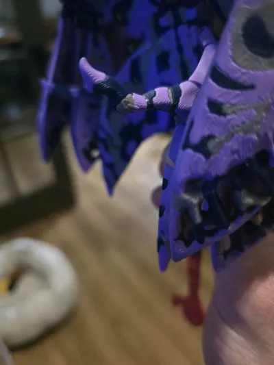 https://makerworld.bblmw.com/makerworld/comment/20260208/3672156558/817371bd3f8a9bde.jpg