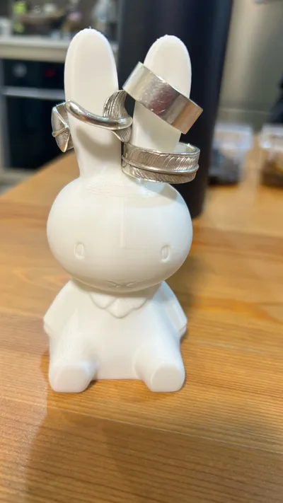 https://makerworld.bblmw.com/makerworld/comment/20260208/3762853855/efb6f17ea10f1e8b.jpg