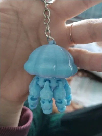 https://makerworld.bblmw.com/makerworld/comment/20260208/3813096696/cfc04d31930941c7.jpg