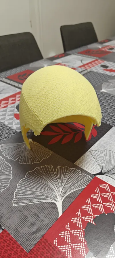 https://makerworld.bblmw.com/makerworld/comment/20260208/4074548571/dfae48ebcb15a3c9.jpg