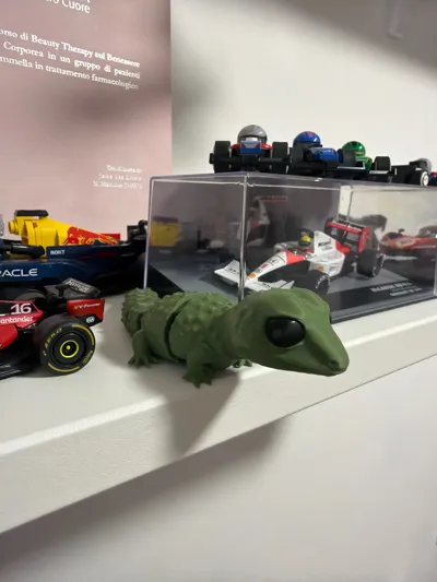 https://makerworld.bblmw.com/makerworld/comment/20260208/4273503688/800f44d64af2eed7.jpg