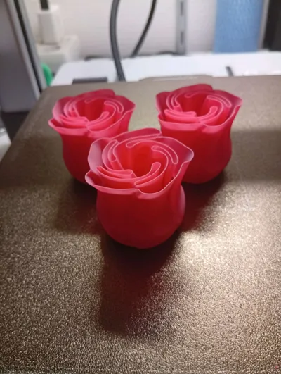 https://makerworld.bblmw.com/makerworld/comment/20260208/707573620/337dbb02445bd1b5.jpg