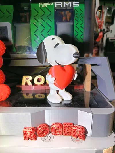https://makerworld.bblmw.com/makerworld/comment/20260208/741527099/77829c64a5c8ba40.jpg