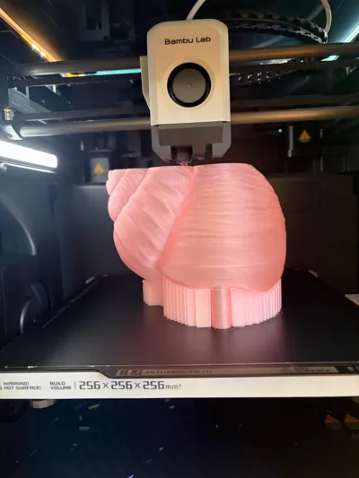 https://makerworld.bblmw.com/makerworld/comment/20260208/856820667/6c6abb327773d594.jpg
